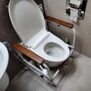 변기손잡이 CSH-1000 화장실지지대 안전바복지용구 노인장기요양등급
